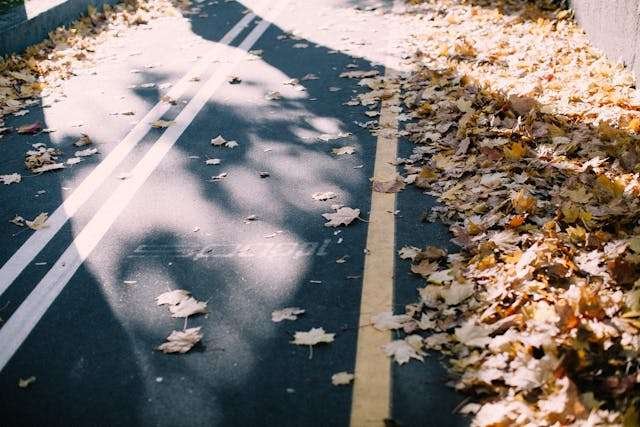 You are currently viewing Fall Prep: Why Tyler Homeowners Schedule Maid Services in September