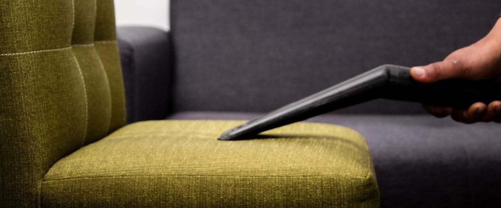 pexels-alonssus-4401538 (2)